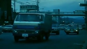 การเดินทางสู่ญี่ปุ่น: หนังสือท่องเที่ยววินเทจ (1973)